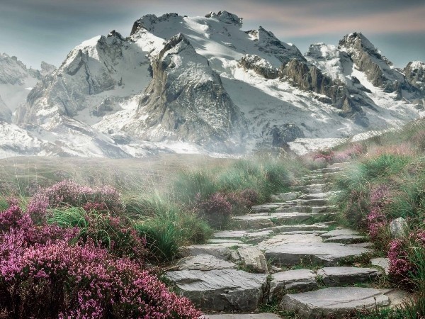 魔兽命令大全　魔兽指令全解析